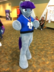 Size: 3024x4032 | Tagged: safe, artist:nupiethehero, maud pie, human, clothes, cosplay, costume, fursuit, irl, irl human, photo