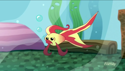 Size: 1136x640 | Tagged: safe, screencap, fish, eqg summertime shorts, equestria girls, pet project, betta, discovery family logo, solo, sunset fish, tropical fish