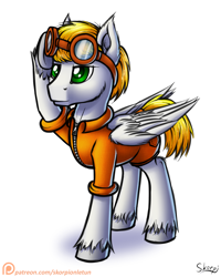 Size: 1000x1250 | Tagged: safe, artist:skorpionletun, oc, oc only, pegasus, pony, clothes, goggles, male, patreon, patreon logo, salute, solo, stallion, unshorn fetlocks