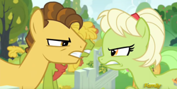 Size: 1276x644 | Tagged: safe, screencap, grand pear, granny smith, pony, the perfect pear, angry, discovery family logo, young grand pear, young granny smith, younger