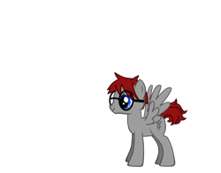 Size: 830x650 | Tagged: safe, oc, oc only, oc:velocity, pegasus, pony, pony creator, eyewear, glasses, simple background, transparent background