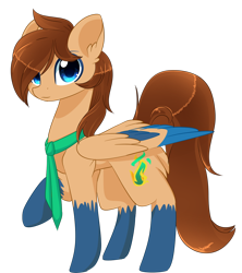 Size: 1024x1152 | Tagged: safe, artist:little-sketches, oc, oc only, pegasus, pony, clothes, looking at you, male, scarf, simple background, solo, stallion, transparent background