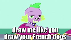 Size: 1920x1080 | Tagged: safe, edit, edited screencap, screencap, spike, dog, eqg summertime shorts, equestria girls, pet project, draw me like one of your french girls, image macro, looking at you, meme, pillow, stupid sexy spike, titanic