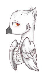 Size: 1665x2674 | Tagged: safe, artist:angelic-shield, derpibooru exclusive, oc, oc only, oc:viola, classical hippogriff, hippogriff, blushing, bust, simple background, solo, transparent background