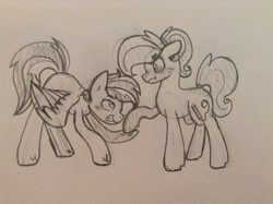 Size: 1024x765 | Tagged: safe, artist:huskywo1f, oc, oc only, earth pony, pegasus, pony, female, male, mare, monochrome, sketch, stallion, traditional art