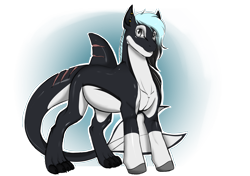 Size: 4299x3035 | Tagged: safe, artist:theecchiqueen, oc, oc only, oc:mako, hybrid, orca pony, original species, clothes, ear piercing, gift art, male, piercing, smiling, solo, stallion