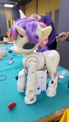 Size: 720x1280 | Tagged: safe, sweetie belle, sweetie bot, human, robot, sweetie bot project, computer, derpfest, irl, irl human, photo, proto3