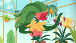 Size: 1280x720 | Tagged: safe, screencap, better together, equestria girls, my little shop of horrors, flower, greenhouse, plant, potted plant, room to grow, watering can