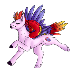 Size: 1024x1024 | Tagged: safe, artist:cinnamonsparx, oc, oc only, oc:irony, pegasus, pony, colored wings, male, multicolored wings, one eye closed, simple background, solo, stallion, tongue out, transparent background, wink