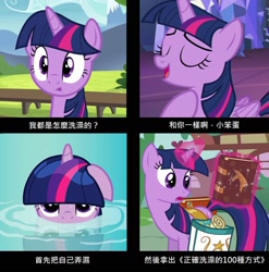 Size: 1644x1663 | Tagged: safe, twilight sparkle, twilight sparkle (alicorn), alicorn, pony, book, chinese