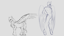 Size: 3132x1748 | Tagged: safe, artist:theecchiqueen, oc, oc only, oc:silent knight, anthro, pegasus, pony, unguligrade anthro, anthro with ponies, monochrome, sketch, unshorn fetlocks