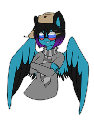 Size: 1401x1807 | Tagged: safe, artist:despotshy, oc, oc only, oc:despy, anthro, pegasus, clothes, female, hat, mare, scarf, simple background, solo, sunglasses, sweater, transparent background, ushanka