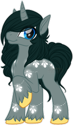 Size: 383x650 | Tagged: safe, artist:pancaked, artist:sequin, oc, oc only, oc:sequined, unicorn, patreon:syruped, raised hoof, simple background, solo, transparent background, unshorn fetlocks