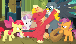 Size: 3536x2059 | Tagged: safe, artist:porygon2z, apple bloom, big macintosh, gabby, scootaloo, sweetie belle, griffon, cutie mark crusaders, feather, tickle torture, tickling