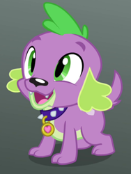 Size: 250x332 | Tagged: safe, screencap, spike, dog, equestria girls, rainbow rocks, smiling, spike the dog