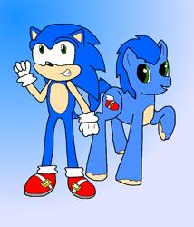 Size: 600x700 | Tagged: safe, artist:emenarartstudios, pony, crossover, ponified, solo, sonic the hedgehog, sonic the hedgehog (series)