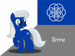 Size: 1600x1200 | Tagged: safe, artist:reisen514, oc, oc only, oc:terra, earth pony, pony, blue pony, flag