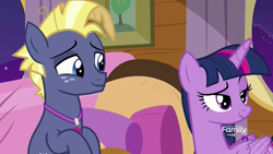 Size: 1920x1080 | Tagged: safe, screencap, star tracker, twilight sparkle, twilight sparkle (alicorn), alicorn, pony, once upon a zeppelin, bedroom eyes, lidded eyes, out of context, raised eyebrow, smiling