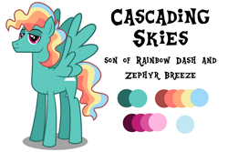 Size: 6000x4000 | Tagged: safe, artist:spottedlions, oc, oc only, pegasus, pony, male, next generation, offspring, original character do not steal, parent:rainbow dash, parent:zephyr breeze, parents:zephdash, simple background