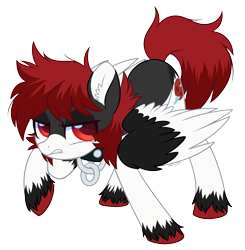 Size: 2066x2110 | Tagged: safe, artist:hawthornss, oc, oc only, oc:umbra moon, pegasus, pony, werewolf, collar, cute, cute little fangs, ear fluff, fangs, frown, simple background, transparent background