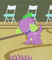 Size: 396x453 | Tagged: safe, screencap, spike, dog, equestria girls, equestria girls (movie), butt, dragonbutt, male, puppy, rear view, solo, spike the dog, standing