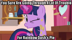 Size: 450x254 | Tagged: safe, edit, edited screencap, screencap, twilight sparkle, twilight sparkle (alicorn), alicorn, pony, secrets and pies, caption, female, image macro, innuendo, mare, meme, solo