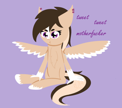 Size: 1889x1661 | Tagged: safe, artist:deerbutt, oc, oc only, oc:beardie, oc:buttercream scotch, hippogriff, behaving like a bird, birds doing bird things, blaze (coat marking), female, gift art, mare, simple background, sitting, swearing, vulgar