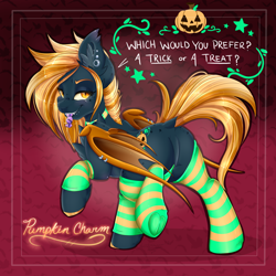 Size: 1600x1600 | Tagged: safe, artist:pvrii, oc, oc only, oc:pumpkin charm, bat pony, pony, candy, clothes, female, food, mare, mouth hold, plot, socks, solo, striped socks, underhoof