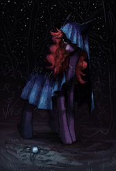 Size: 1334x1967 | Tagged: safe, artist:koviry, oc, oc only, oc:paris quadrifolia, pony, cloak, clothes, female, mare, night, solo, starry night, stars