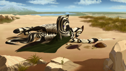 Size: 2560x1440 | Tagged: safe, artist:kirillk, oc, oc only, oc:naro, zebra, cape, clothes, large wings, looking at you, male, on side, savanna, scenery, shaman, solo, stallion, wings, zebra oc, zebrasus