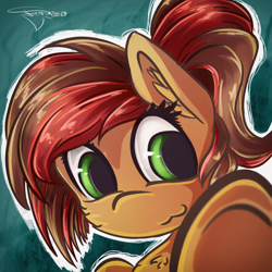 Size: 3000x3000 | Tagged: safe, artist:ferasor, oc, oc only, oc:lucy coco, earth pony, pony, boop, female, mare, smiling, solo