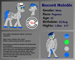 Size: 1024x819 | Tagged: safe, artist:recordmelodie, oc, oc only, oc:record melodie, pegasus, pony, cutie mark, fedora, hat, male, necktie, reference sheet, stallion, standing, wide eyes, wings