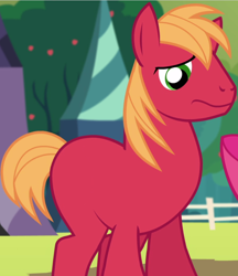 Size: 782x906 | Tagged: safe, edit, edited screencap, screencap, big macintosh, earth pony, pony, brotherhooves social, bow, cute, macabetes, male, missing accessory, red, solo, stallion, worried