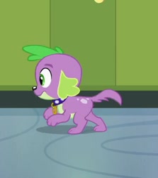 Size: 378x424 | Tagged: safe, screencap, spike, dog, equestria girls, equestria girls (movie), cropped, puppy, running, solo, spike the dog