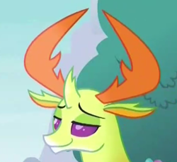 Size: 451x412 | Tagged: safe, thorax, changedling, changeling, triple threat, cropped, king thorax, reaction image, smug