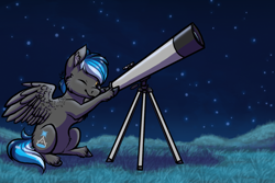 Size: 1024x683 | Tagged: safe, artist:ombraniwolf, oc, oc only, oc:kepler, pegasus, pony, grass, night, night sky, sitting, sky, solo, stargazing, stars, telescope