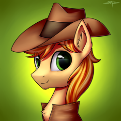 Size: 3000x3000 | Tagged: safe, artist:setharu, braeburn, earth pony, pony, bust, clothes, cowboy hat, gradient background, hat, looking at you, looking back, male, signature, smiling, solo, stallion, stetson, vest
