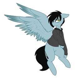 Size: 1489x1500 | Tagged: safe, artist:despotshy, oc, oc only, oc:tyler, pegasus, pony, clothes, hoodie, male, simple background, solo, stallion, transparent background