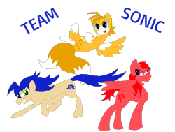 Size: 1024x775 | Tagged: safe, artist:spqr21, pony, deviantart muro, knuckles the echidna, miles "tails" prower, ponified, simple background, sonic the hedgehog, sonic the hedgehog (series), transparent background