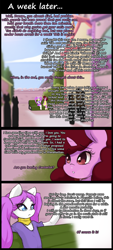 Size: 864x1920 | Tagged: safe, artist:darkestmbongo, oc, oc only, oc:d.d, earth pony, pony, unicorn, comic:ddthemaid memories, ask ddthemaid, bench, clothes, comic, dialogue, dress, female, generic pony, pigtails, scarf, skirt