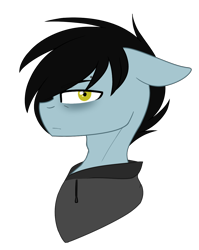 Size: 1028x1290 | Tagged: safe, artist:despotshy, oc, oc only, oc:tyler, pony, bust, clothes, hoodie, male, portrait, simple background, solo, stallion, transparent background