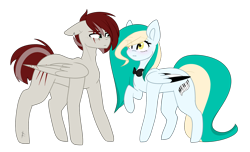 Size: 2320x1409 | Tagged: safe, artist:despotshy, oc, oc only, oc:scratched feather, oc:sea melody, pegasus, pony, bowtie, female, male, mare, raised hoof, scar, simple background, stallion, torn ear, transparent background