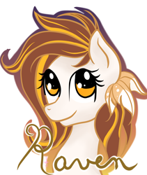 Size: 6352x7538 | Tagged: safe, artist:silversthreads, oc, oc only, oc:raven, earth pony, pony, absurd resolution, feathers in hair, female, handwriting, mare, simple background, solo, transparent background