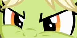 Size: 433x213 | Tagged: safe, screencap, granny smith, pony, the perfect pear, angry, cropped, eye, eyes, solo, young granny smith