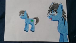 Size: 3264x1836 | Tagged: safe, artist:hilfigirl, oc, oc only, oc:blueboard, earth pony, pony, glasses, solo, teacher, traditional art