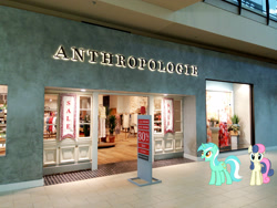 Size: 2600x1950 | Tagged: safe, artist:conman17, bon bon, lyra heartstrings, sweetie drops, pony, fanfic:anthropology, clean, confused, excited, funny, irl, looking at you, mall, misspelling, photo, photoshop, ponies in real life, store, that pony sure does love humans