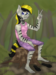 Size: 981x1310 | Tagged: safe, artist:chibadeer, oc, oc only, oc:sly, anthro, plantigrade anthro, zebra, clothes, male, pants, sandals, shirt, sitting, solo, tree stump