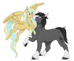 Size: 2754x2283 | Tagged: safe, artist:xenalollie, oc, oc only, oc:hylia, oc:obsidian, earth pony, pegasus, pony, boop, female, high res, male, mare, noseboop, simple background, stallion, transparent background