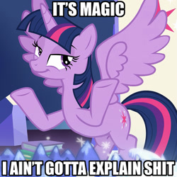 Size: 800x800 | Tagged: safe, edit, edited screencap, screencap, twilight sparkle, twilight sparkle (alicorn), alicorn, shadow play, it's magic, meme, shrug, text, vulgar