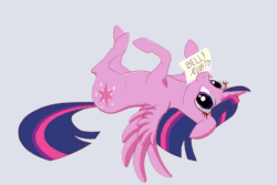 Size: 750x500 | Tagged: safe, artist:szafir87, twilight sparkle, twilight sparkle (alicorn), alicorn, pony, animated, bellyrub request, blinking, blue background, bronybait, cute, eye shimmer, female, flapping, floppy ears, gif, gray background, hnnng, hoofy-kicks, legs in air, looking at you, looking back, mare, mouth hold, on back, simple background, smiling, solo, spread wings, szafir87 is trying to murder us, twiabetes, weapons-grade cute, wings